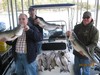 (04/28/2018) - Nice Striped Bass